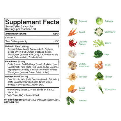 Balance of Nature Fruits & Veggies Supplements - Whole Fruit and Vegetable Ingredients for Women, Men, and Kids - 90 Fruits Capsules, 90 Veggies Capsules - 1 Set